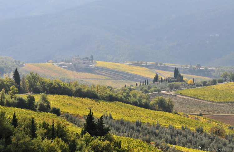 Paesaggio del Chianti